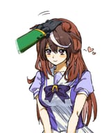 17012565852108