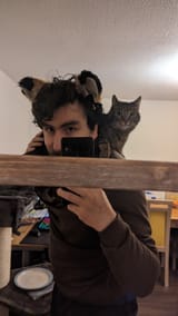 Thread 10829358 OP Image