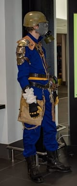 vault dweller
