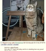 tumblr_b5c81dfffea582c2fbd7636e3d37ecdc_2502d277_1280