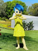 Joy-15