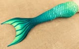 discoveryskye-2