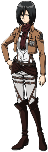 Standard Mikasa PNG