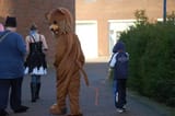 pedobearcoaplsy