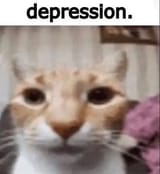Thread 10950588 OP Image
