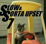 slow and sorta upset 7