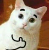 purtygood
