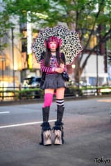 ito neo decora draculara