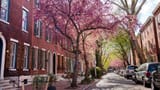 fairmount-neighborhood-streetscape1-M.Fischetti-2200x1237