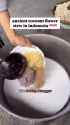 Indonesian Gudeg Manggar_thumb.jpg