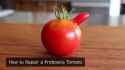 they did surgery on a tomato_thumb.jpg