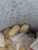Thread 21394085 OP Image