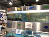 IMG_8583