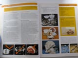 image000000.jpg (1)