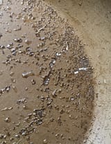 IMG_9816