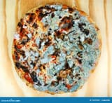 moldy-pizza-old-wooden-table-food-poisoning-72670301-3619238445
