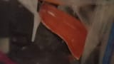 steelhead_filet_2