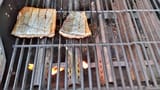 grilling_the_steelhead