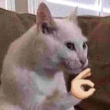1449688149085