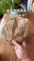 MortarPestle_thumb.jpg