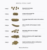 15970-bristol-stool-chart-1296x1394-english-body-952x1024
