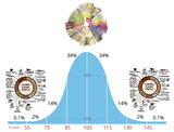 coffee bell curve