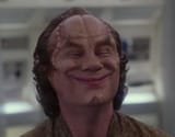 phlox