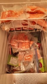 steelhead_filets