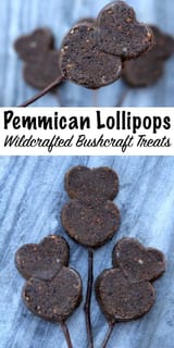 Pemmican