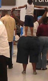 shelf butt classic