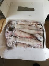 IMG_20250617_170946