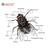 TheEnglishGrammarClub12
