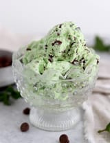 No-Churn-Mint-Chocolate-Chip-Ice-Cream-1-787x1024[1]
