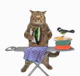 cat-beige-ironing-board-beige-cat-irons-clothes-using-iron-ironing-board-laundry-home-white-background-216808426-912635003