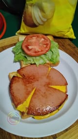 bunch of baloney