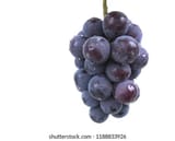 bunch-big-purple-grape-on-260nw-1188833926
