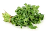 Cilantro-355819539