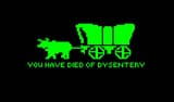 dysentery