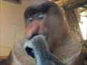 1713472601378127_thumb.jpg