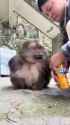 VID_20250622_131915_632_thumb.jpg