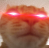 1551053442861