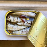 k_Photo_Series_2020-03-love-letter-sardine-sandwich_LL-Sardine1