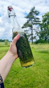 my-first-pine-needle-soda-v0-l7xn7ca90q5d1