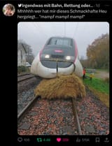 tasty hay