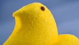 1140-peeps-nation.imgcache.rev3aa6a5a0b7d521bbef63f0e833d97a8f