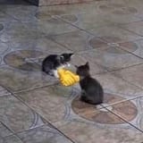 1733920074826768