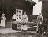 Knekkebrød__Spisbrödsbakning Fotograf Okänd_Nordiska Museet_beskuren
