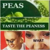 taste the what peaness