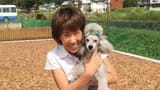 chef-francis-dog-park-00-1024x576