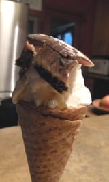 sardinecone
